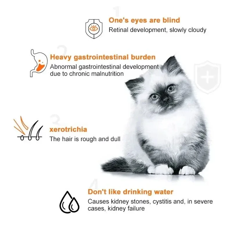 10pcs Cat Strips Pet Snacks Va - Food Snacks Label recensie en prijs