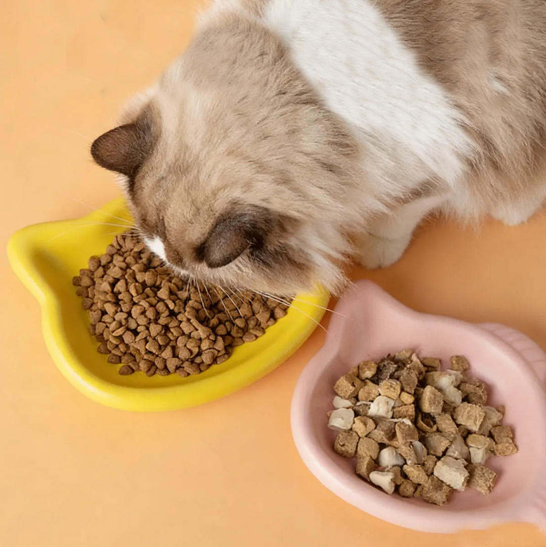 Cute Cat Shape Pet Snack Plate - Food Snacks Options recensie en prijs
