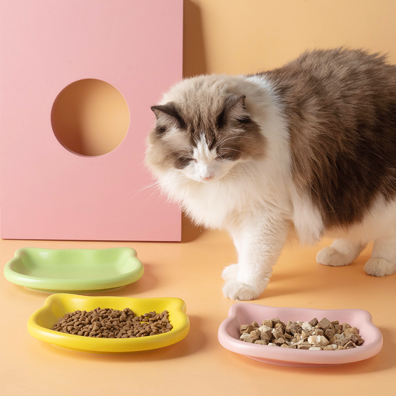 Cute Cat Shape Pet Snack Plate - Food Snacks Options recensie en prijs